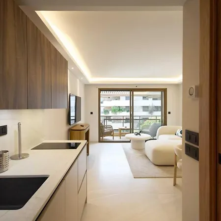 A C In The Heart Of Cannes—croisette Beaches *